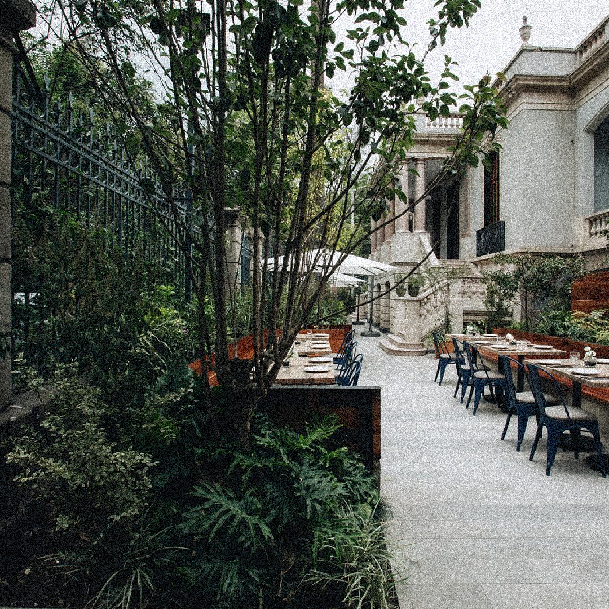 Madre Café