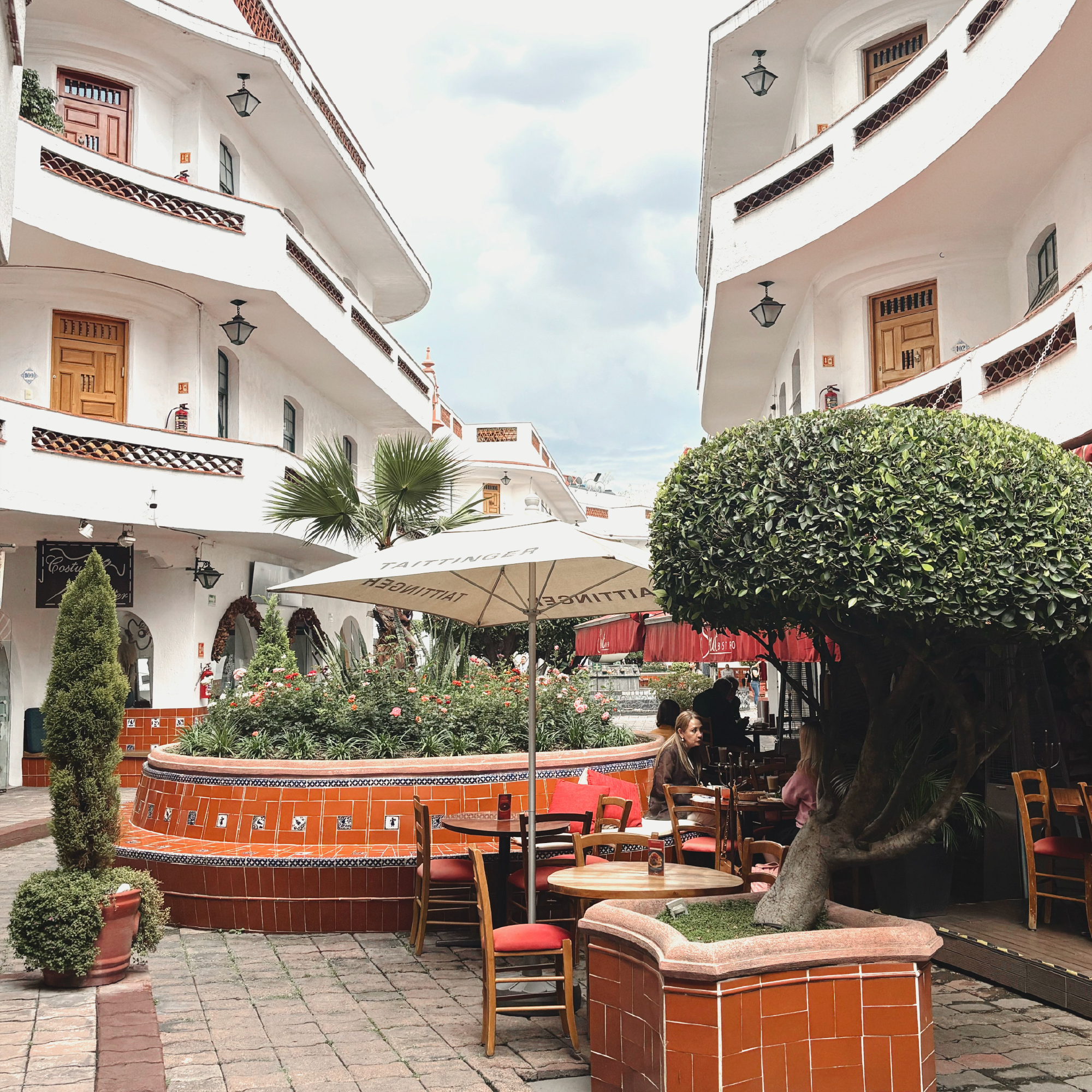 Pasaje Polanco