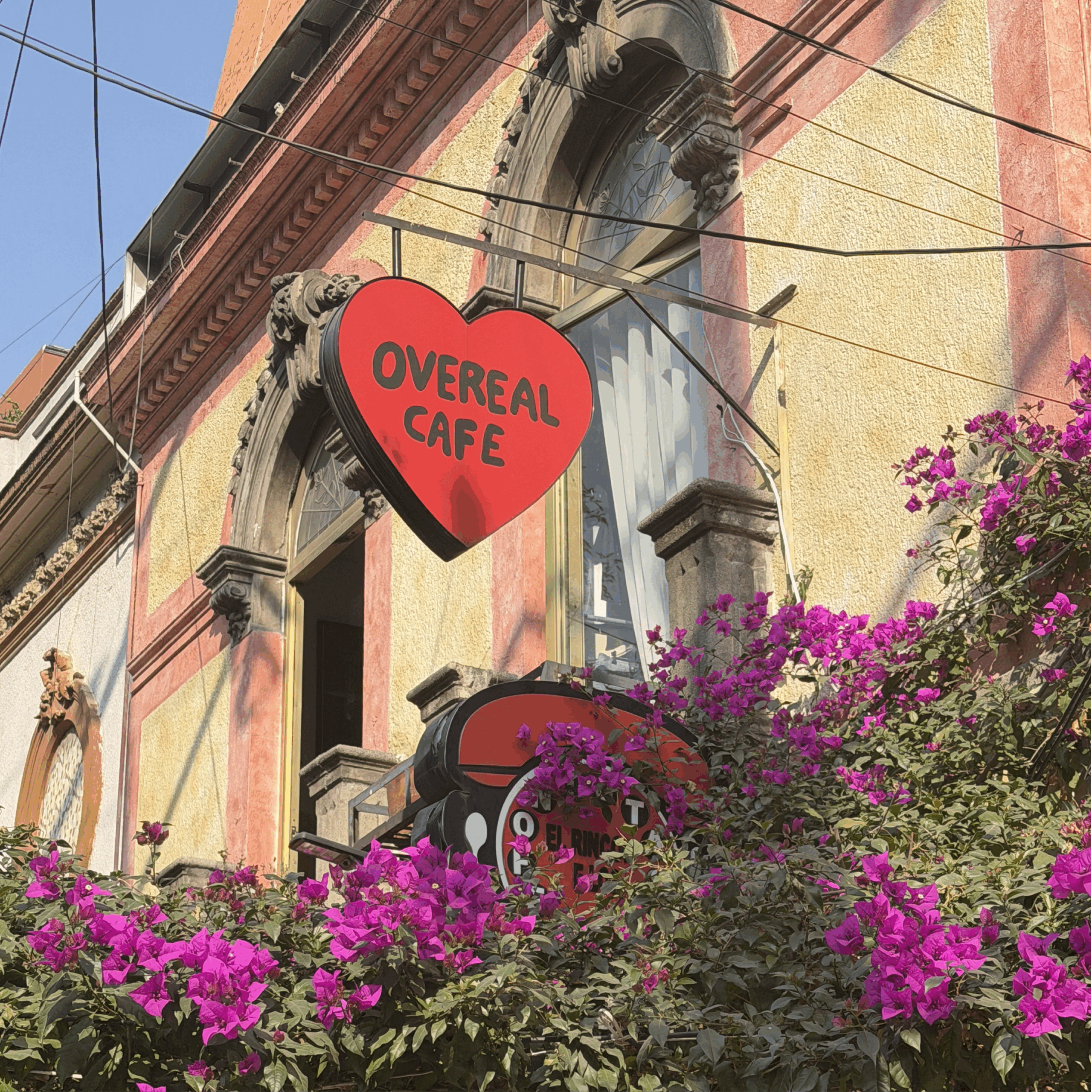 Overeal Cafe