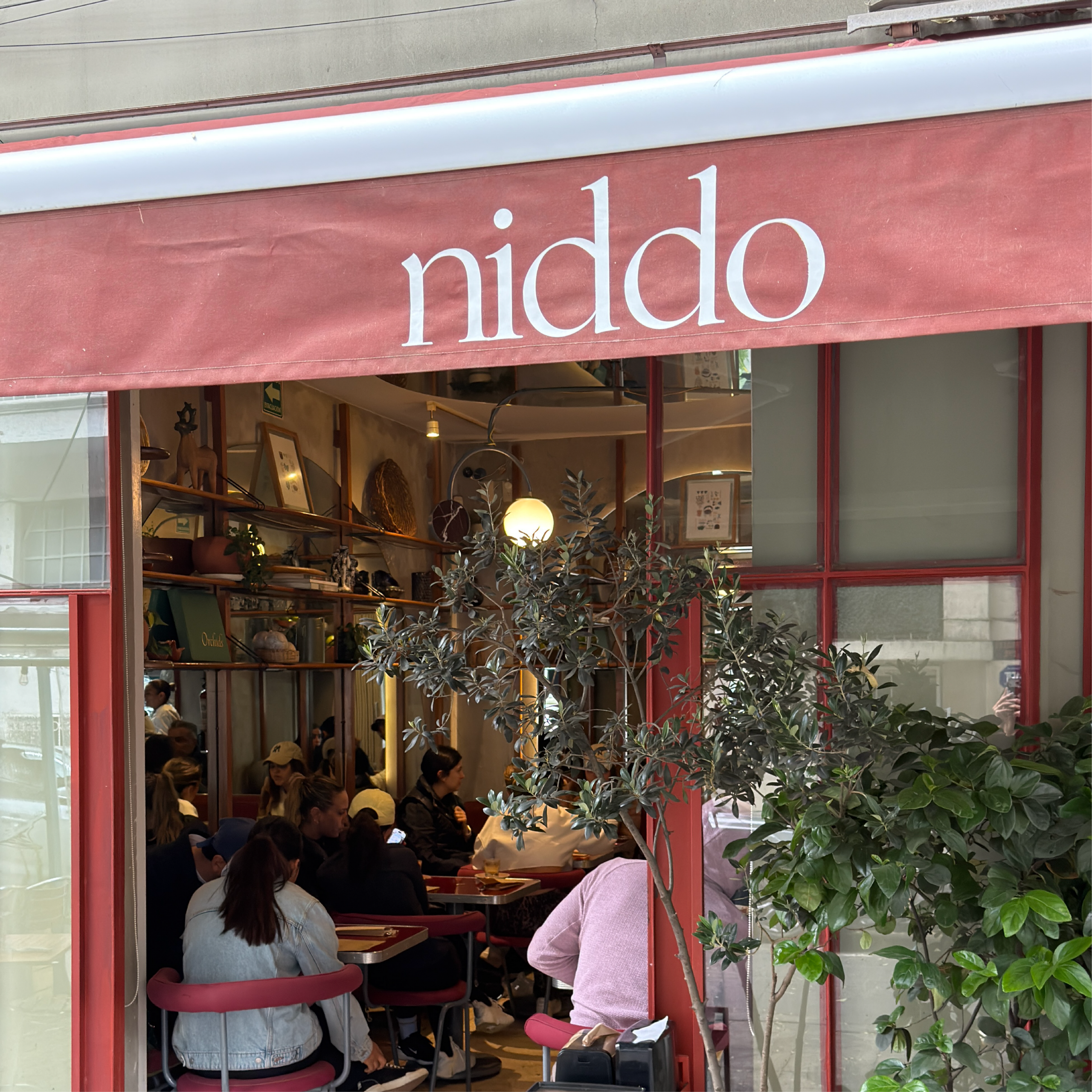 Niddo