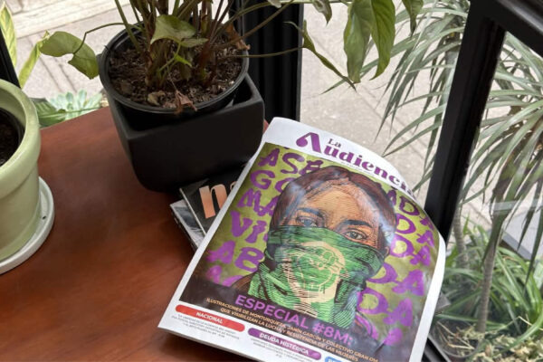 plantas-10