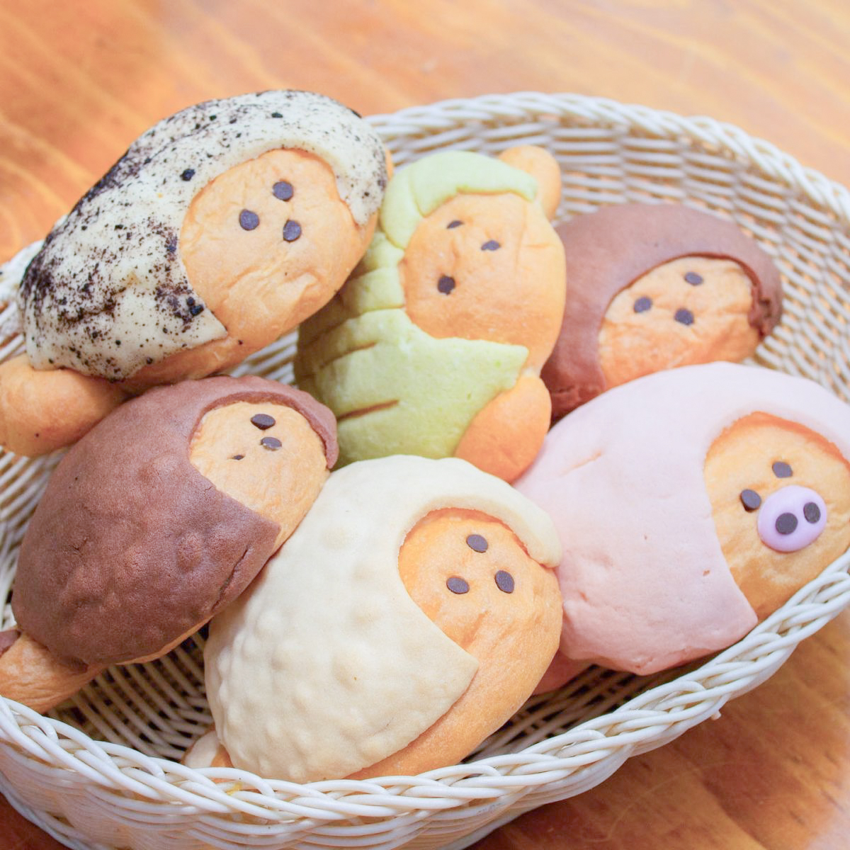 Santas Conchas